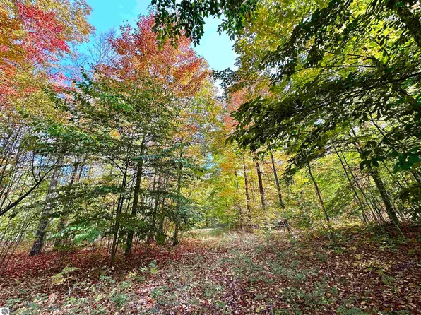 1306 S Weldon Rd, Beulah, MI 49617