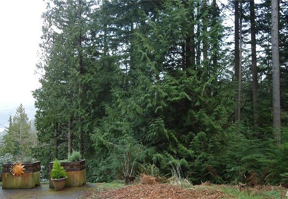 1st image of 9 Loganberry Ln