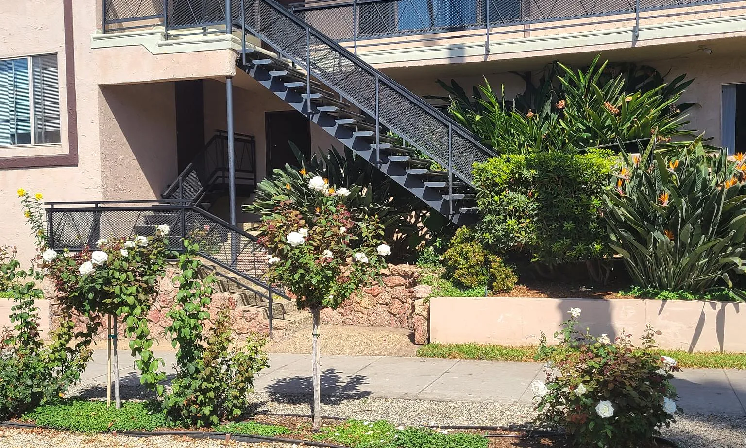 1 bed, 650 sqft, $2,650 — Photo 3