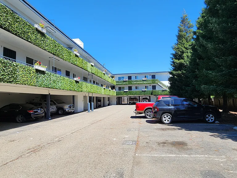 Zelma Apartments — Photo 13