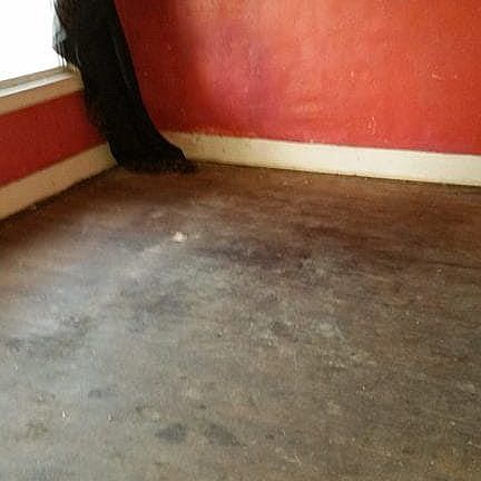 4th image of 6431 Van Buren St
