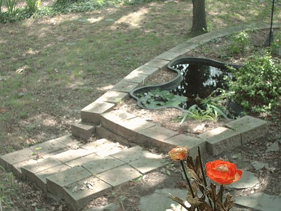 Bay window view from dining room