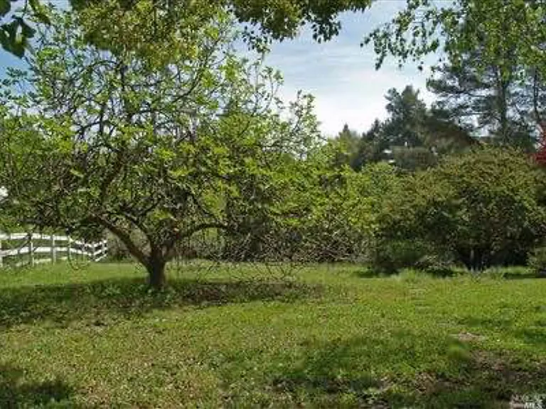 7385 Hidden Lake Rd — Photo 9