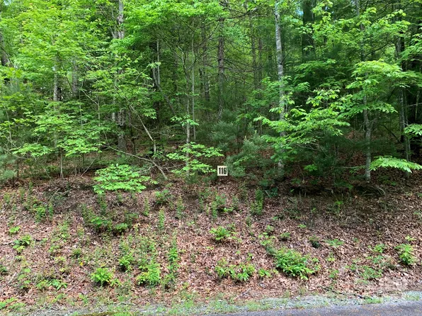 116 Green Hollow Ln, Brevard, NC 28712