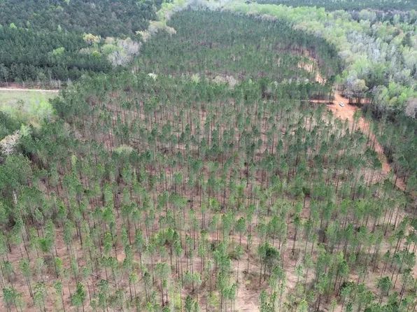 Oak Grove Rd, Cuthbert, GA 39840