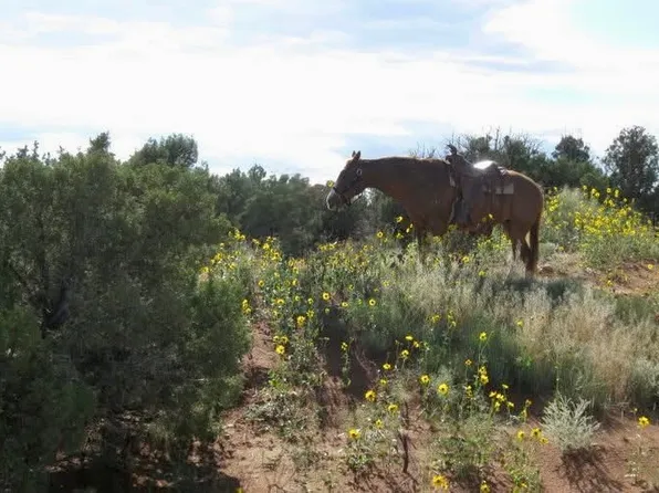5929 W 350 S, Roosevelt, UT 84066