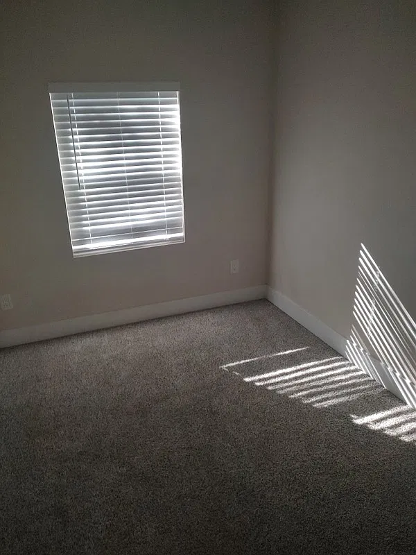 2 bed, $2,300 — Photo 4