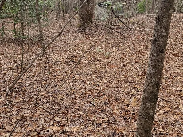 0 Ute Bluff Ln, Demorest, GA 30535