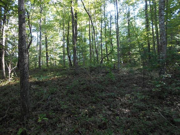 5th image of Crooked Branch Cir