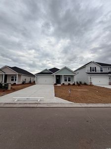 8234 Energize Dr. #2136 Chandler F, Chandler F Longs, SC, 29568