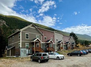 1399 Griffith St #5, Georgetown, CO 80444