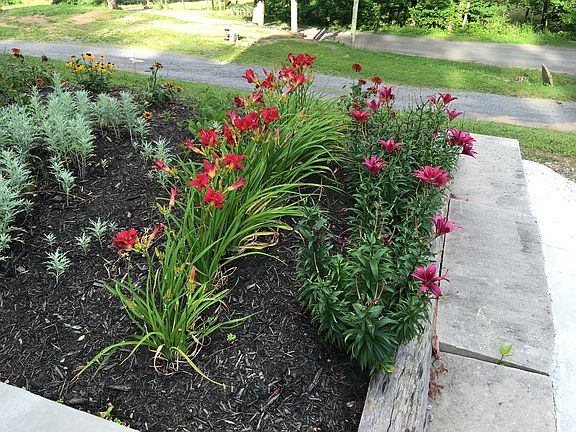 Front Garden