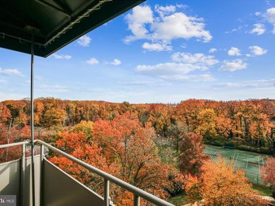 6621 Wakefield Dr APT 910, Alexandria, VA, 22307