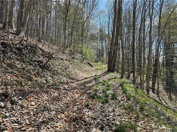 0 State Highway 79, Richford, NY 13835