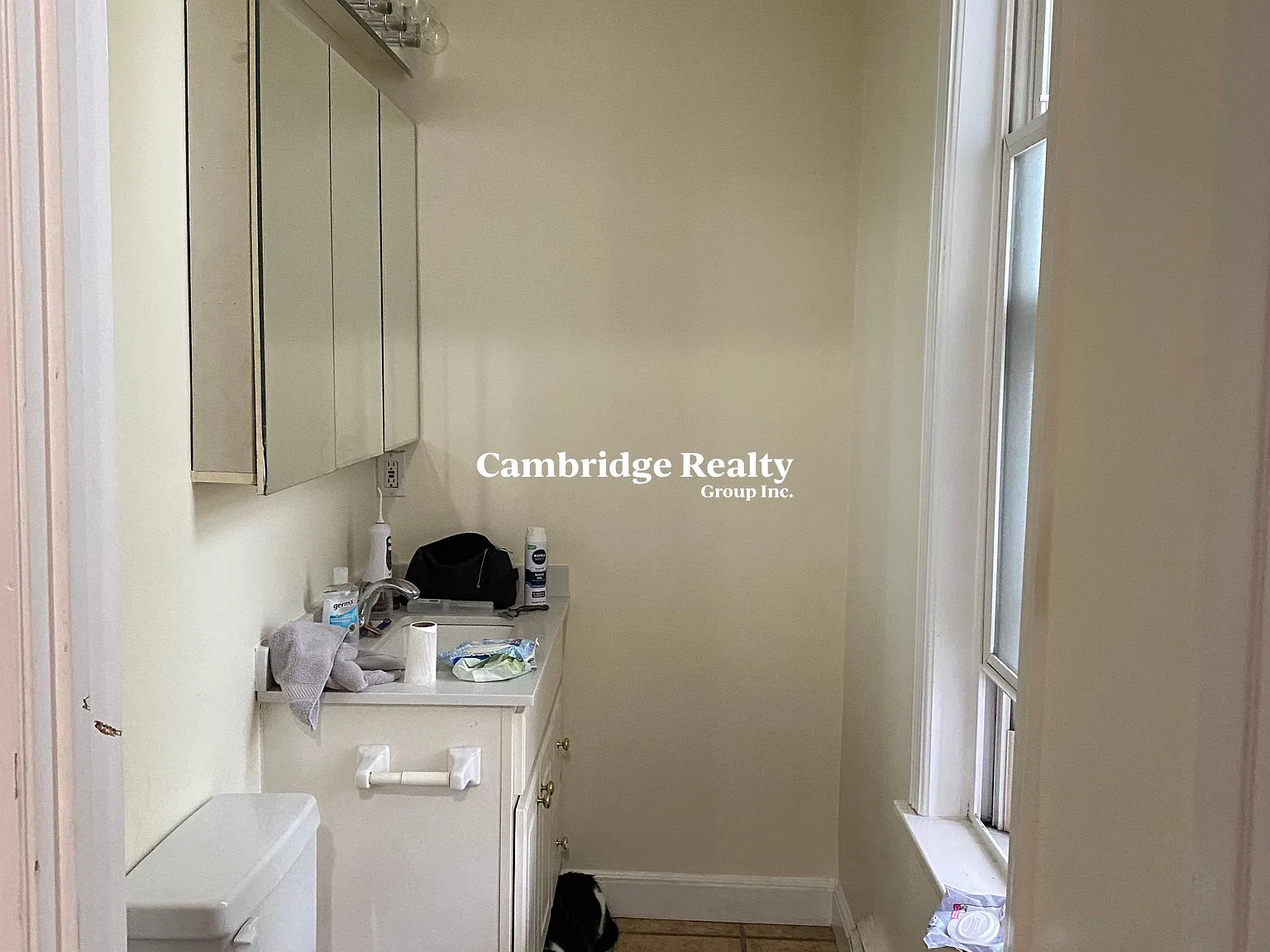3 bed, 1.5 bath, $3,850 — Photo 4
