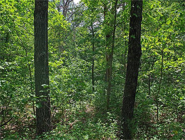 2nd image of 5820 Roberts Ln