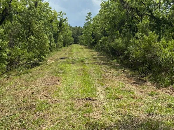 459 COUNTY ROAD 2006 EAST, Bunnell, FL 32110
