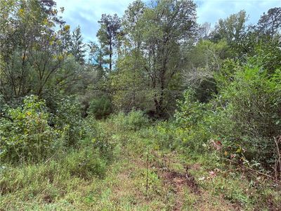 80 Sanders Creek Rd, Tallapoosa, GA, 30176