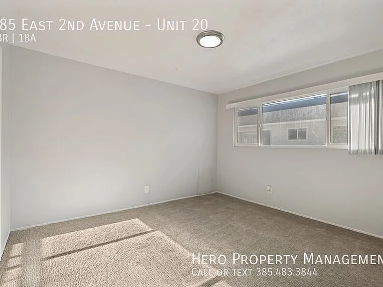 585 E 2nd Ave #20 — Photo 11