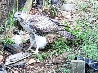 244 Brandy Brow Rd, Haverhill, MA 01830