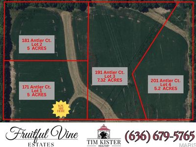 181 Antler Ct, Wentzville, MO, 63385