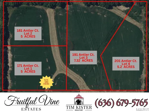 201 Antler Ct, Wentzville, MO 63385