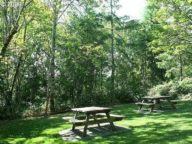 Picnic Area