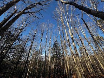 0 Mann Rd, Winnsboro, SC, 29180