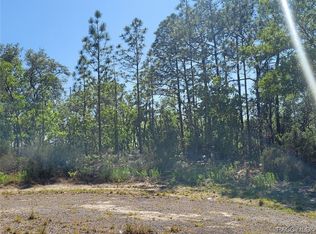 1000 W Riley Dr, Citrus Springs, FL 34434