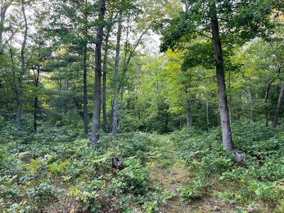 Swihart Rd, Brethren, MI, 49619