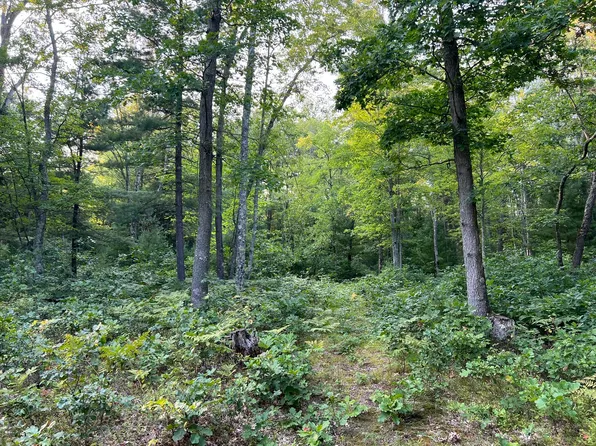 Swihart Rd, Brethren, MI 49619