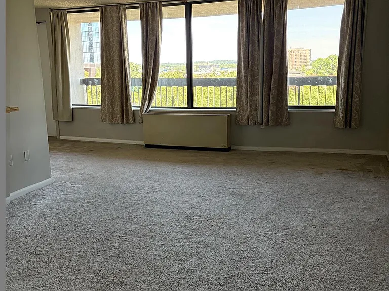 3701 S George Mason Dr #808N — Photo 6