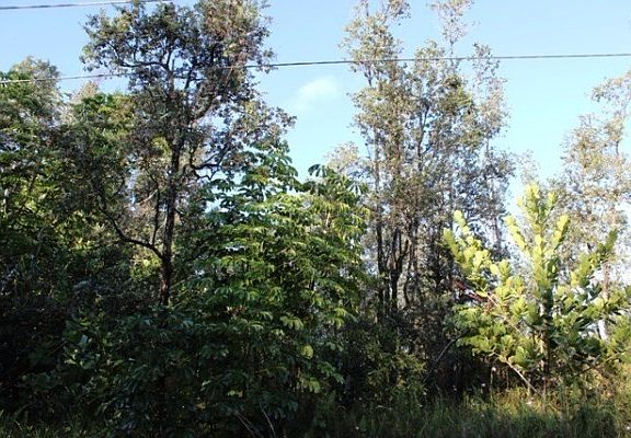 4th image of 6th Ave Lot 2326