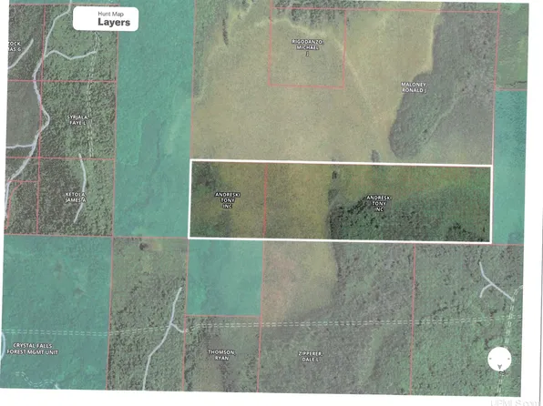 Tbd Wests Rd, Amasa, MI 49903