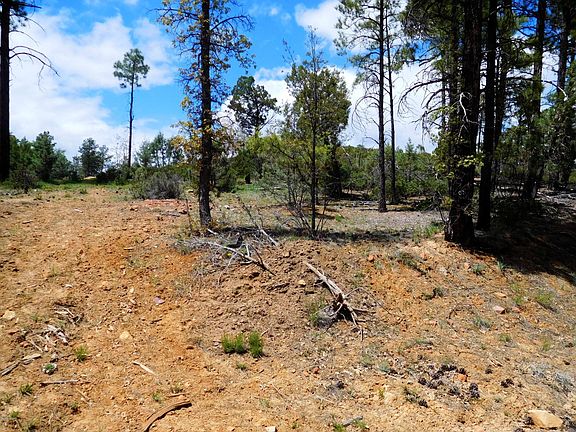 Put a driveway here?