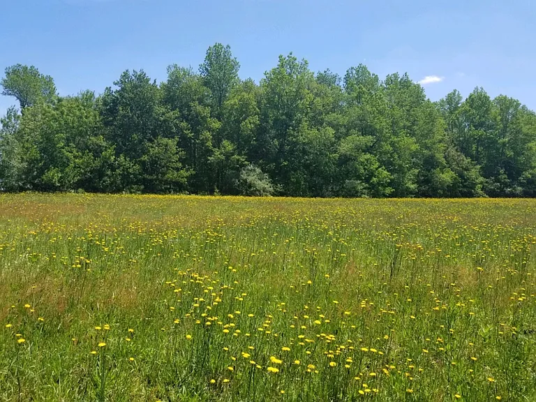 Wheat Rd — Photo 9
