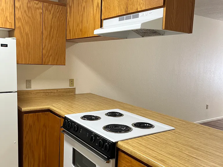 520 Palm Dr — Photo 5