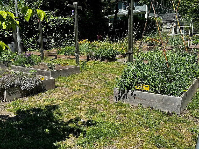School Garden Plots
