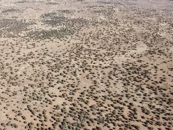 54 N 7493rd, Saint Johns, AZ 85936