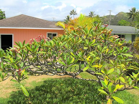 view: yard/garage from house