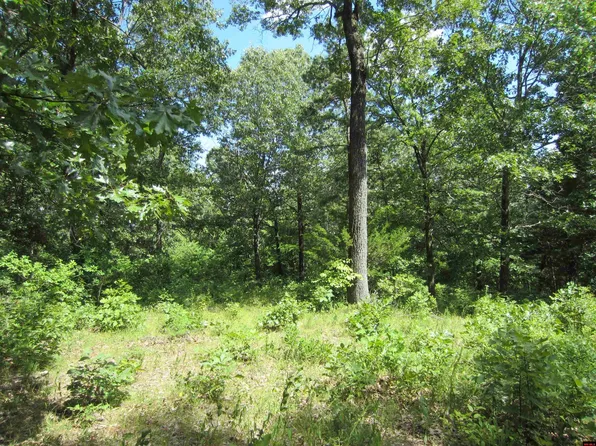 591 Mackenzi Ridge Ln, Yellville, AR 72687