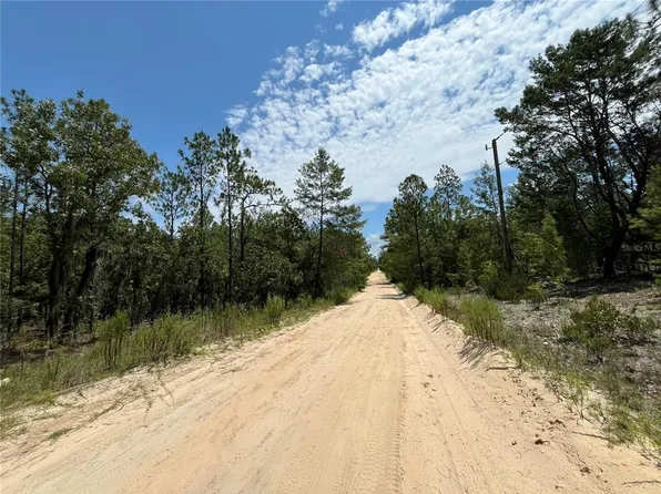 424 Nova Scotia St #29, Interlachen, FL 32148