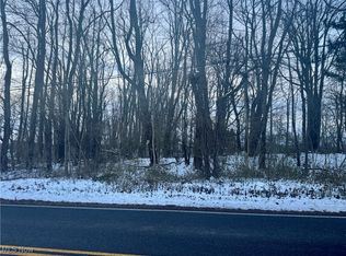 Newton St, Tallmadge, OH 44278