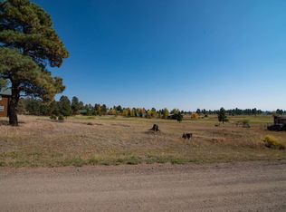 28 Divot Pl, Pagosa Springs, CO 81147