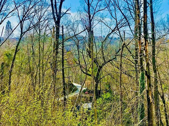3rd image of 0 W Loop Rd Lot 0