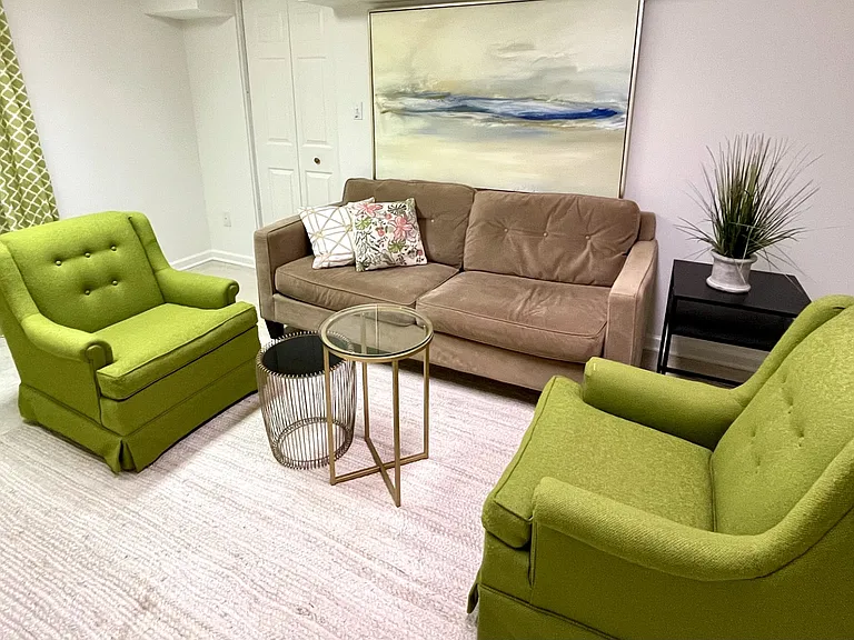 Lower-Level Living Room