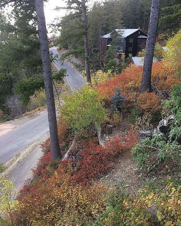 1st image of 575 Matterhorn Dr