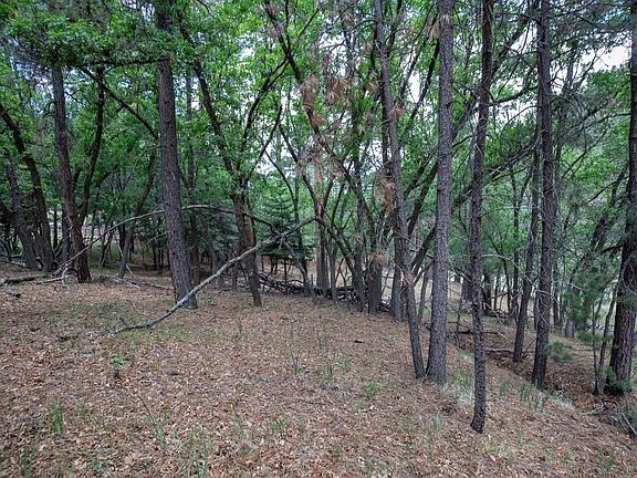 2nd image of 27 Ponderosa Pines Trl