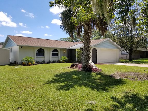 Front yard with sabal palm