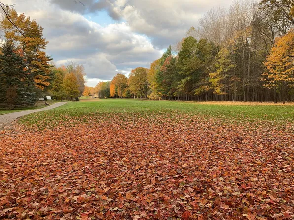 6728 Beechnut Rdg, Stanwood, MI 49346